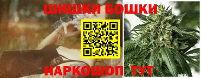 молекула духа Будённовск