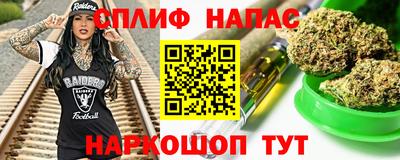 молекула духа Будённовск