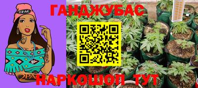 молекула духа Будённовск