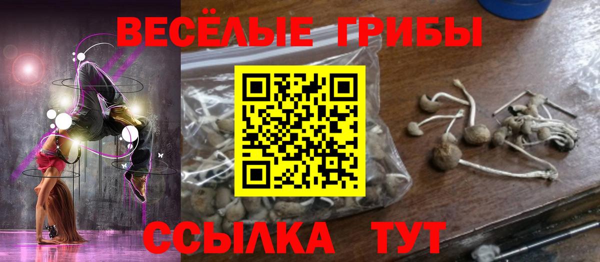 Сарапул  Галлюциногенные грибы Psilocybine cubensis  Вход с VPN 